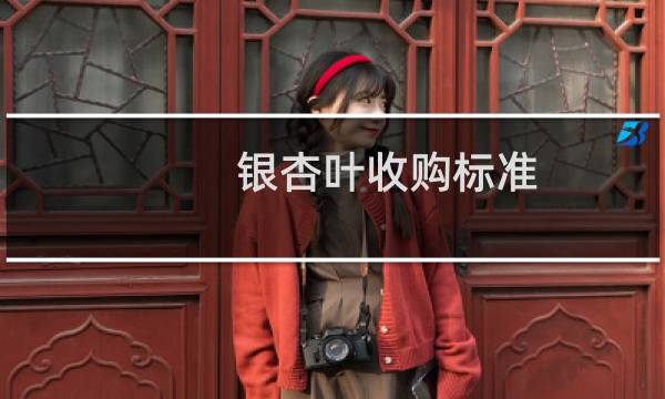 银杏叶收购标准