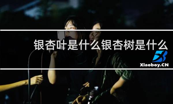 银杏叶是什么银杏树是什么