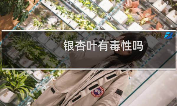 银杏叶有毒性吗