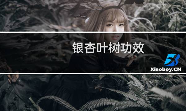 银杏叶树功效