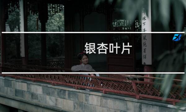 银杏叶片 副作用