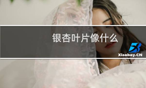 银杏叶片像什么