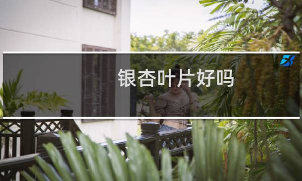 银杏叶片好吗
