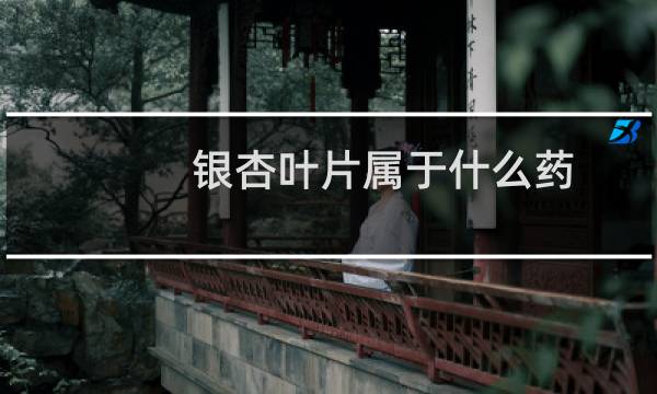 银杏叶片属于什么药