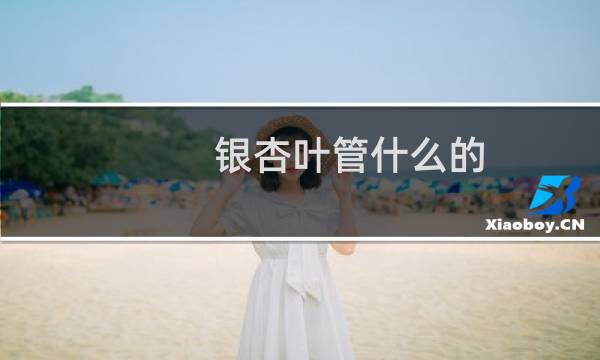 银杏叶管什么的