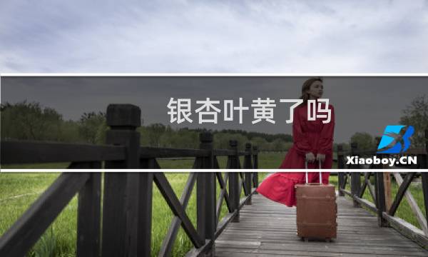 银杏叶黄了吗