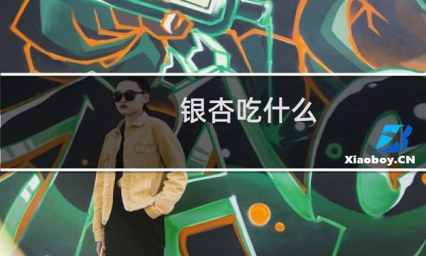银杏吃什么