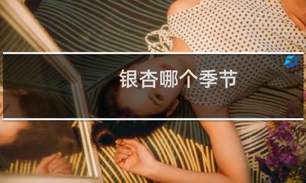 银杏哪个季节