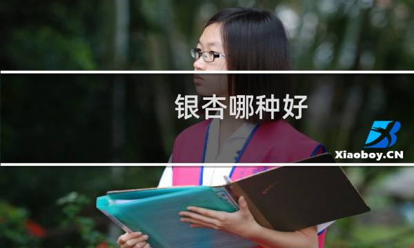 银杏哪种好