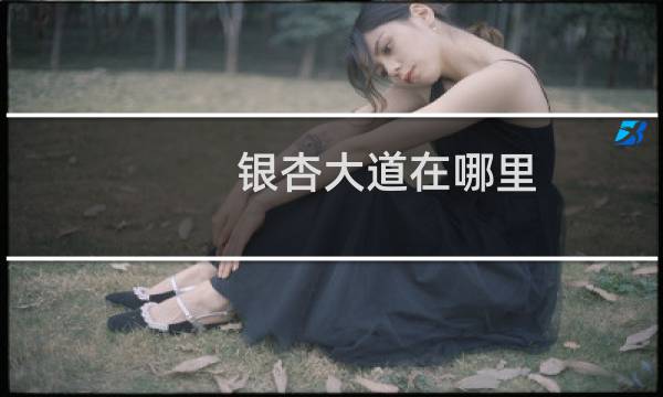 银杏大道在哪里