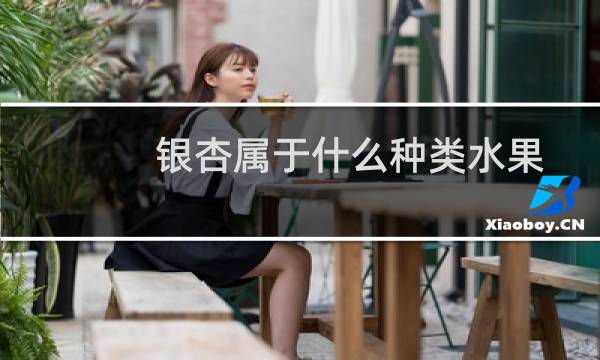 银杏属于什么种类水果