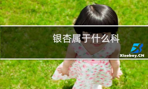 银杏属于什么科