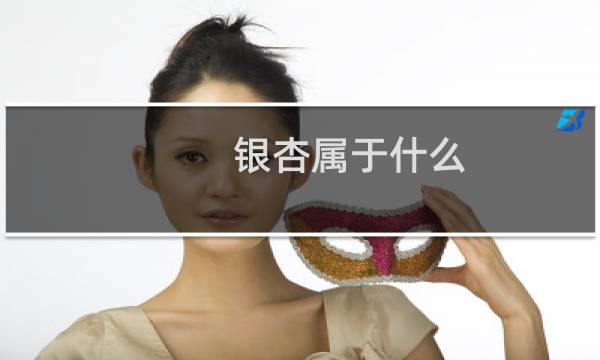 银杏属于什么
