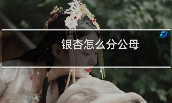 银杏怎么分公母