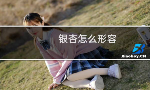 银杏怎么形容