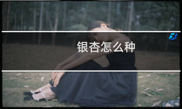 银杏怎么种
