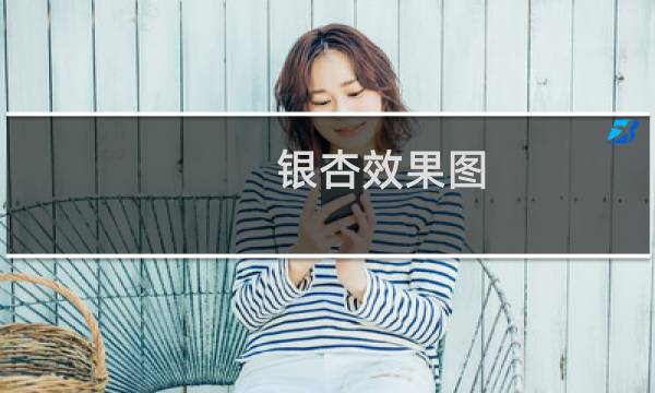 银杏效果图