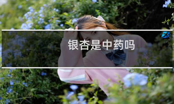 银杏是中药吗