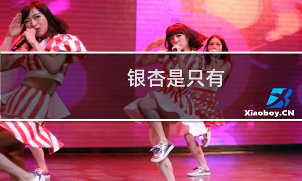 银杏是只有