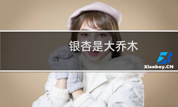 银杏是大乔木