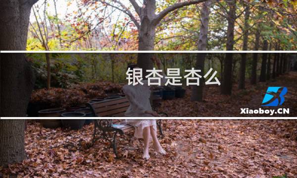 银杏是杏么