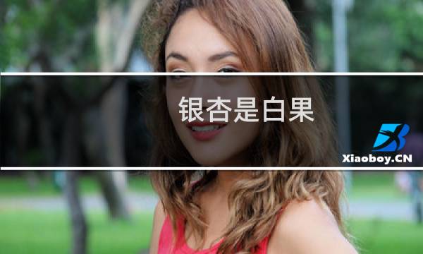 银杏是白果