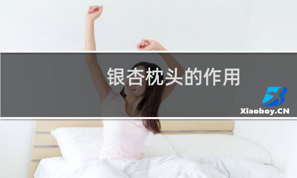 银杏枕头的作用