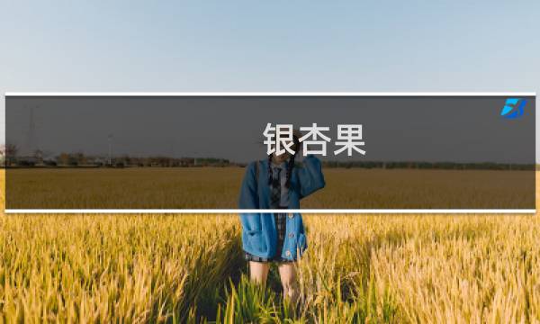 银杏果 白果吗