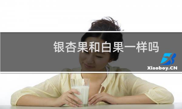 银杏果和白果一样吗