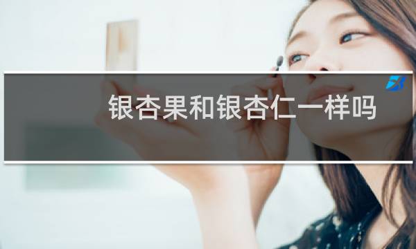 银杏果和银杏仁一样吗