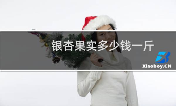 银杏果实多少钱一斤