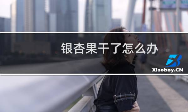 银杏果干了怎么办