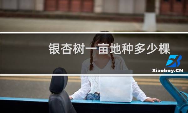 银杏树一亩地种多少棵