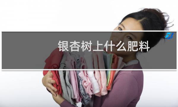银杏树上什么肥料