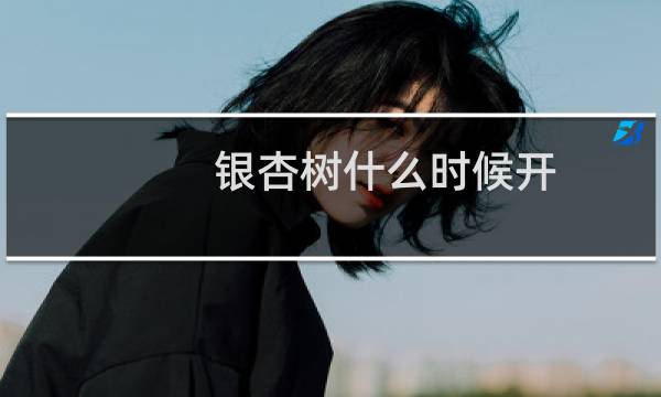 银杏树什么时候开