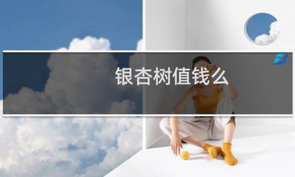 银杏树值钱么