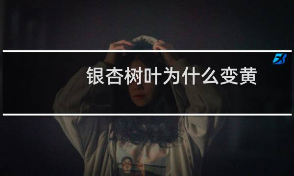 银杏树叶为什么变黄