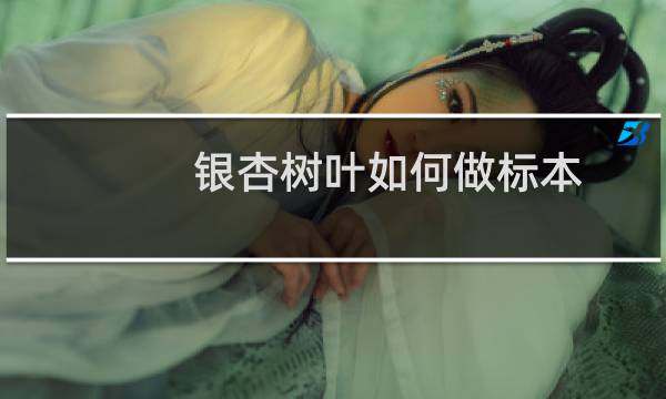 银杏树叶如何做标本