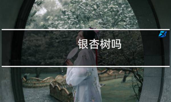 银杏树吗