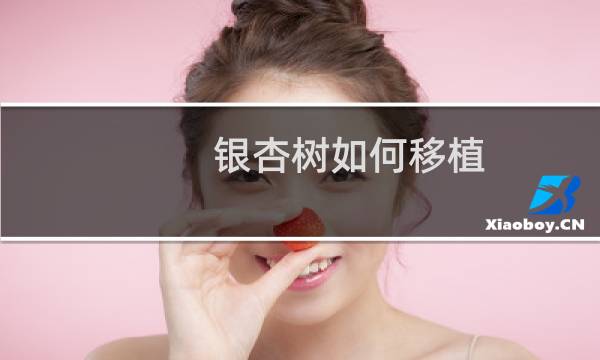 银杏树如何移植