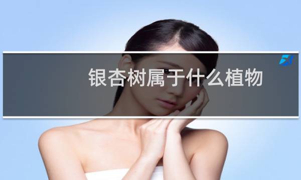 银杏树属于什么植物