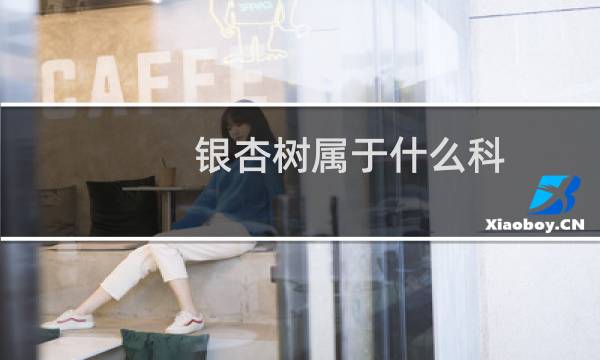 银杏树属于什么科