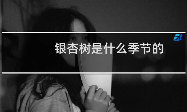 银杏树是什么季节的