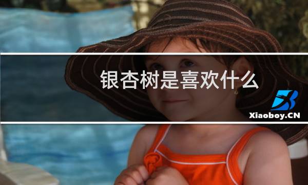 银杏树是喜欢什么