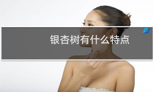 银杏树有什么特点