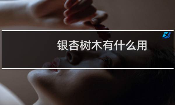 银杏树木有什么用