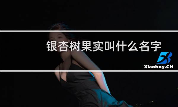 银杏树果实叫什么名字