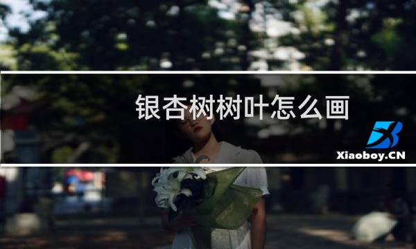 银杏树树叶怎么画