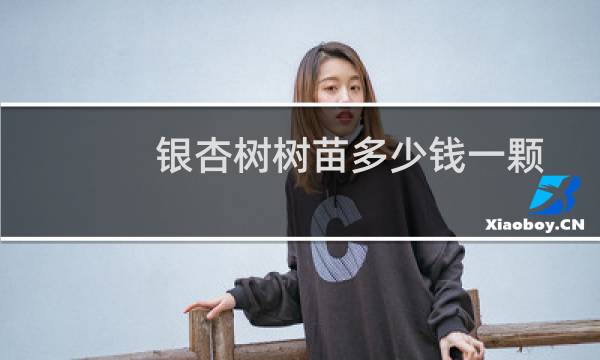 银杏树树苗多少钱一颗