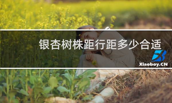 银杏树株距行距多少合适